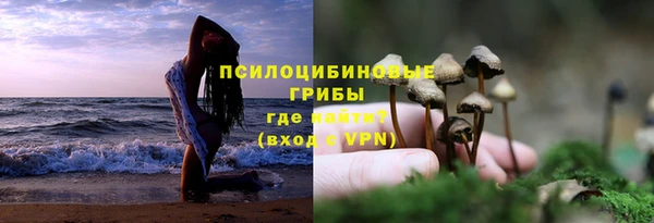 PSILOCYBIN Нягань