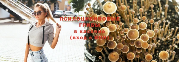 2c-b Осинники