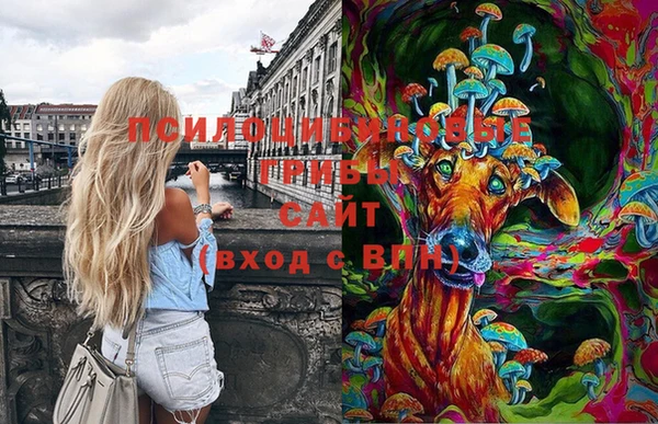 гашиш Няндома